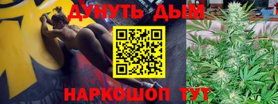 соль ск Новозыбков