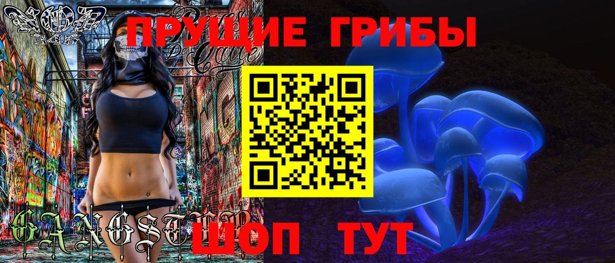 Псилоцибиновые грибы GOLDEN TEACHER Топки