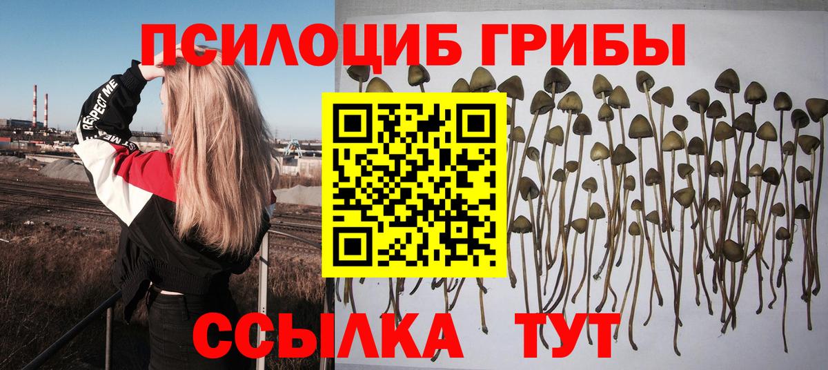 Псилоцибиновые грибы Magic Shrooms  где купить   Топки  Вход с VPN  Псилоцибиновые грибы прущие грибы 